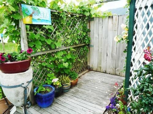 Coromandel Court Motel 외부 사진